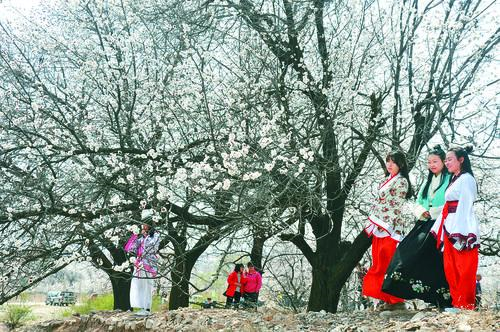 OK138太阳集团 太阳能光伏电站实景